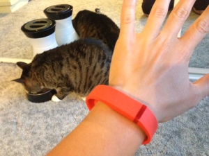 Fitbit Flex in orange band. Look! A PennyCat cameo! 